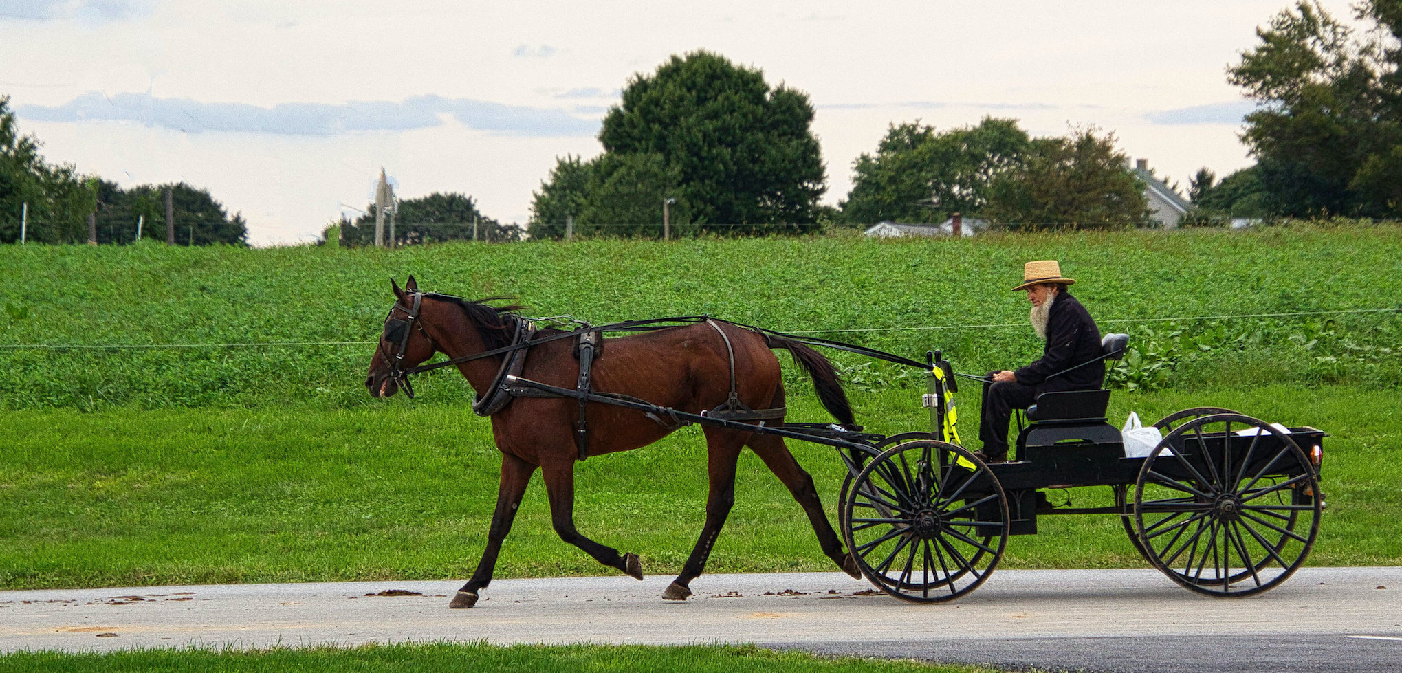 An Amish Farmer’s Court Case and a Curious Coalition of Rightwing ...